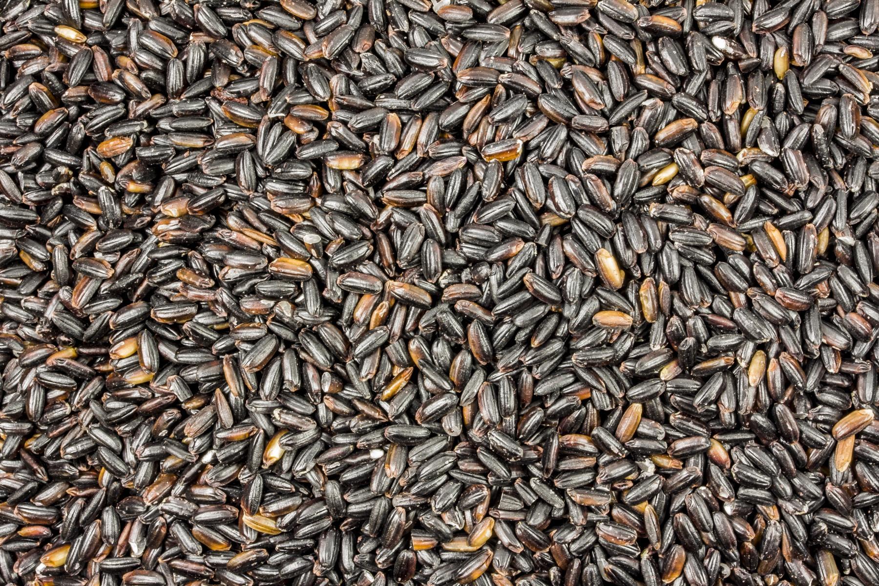 Cerná dlouhozrnná rýe bio 25kg