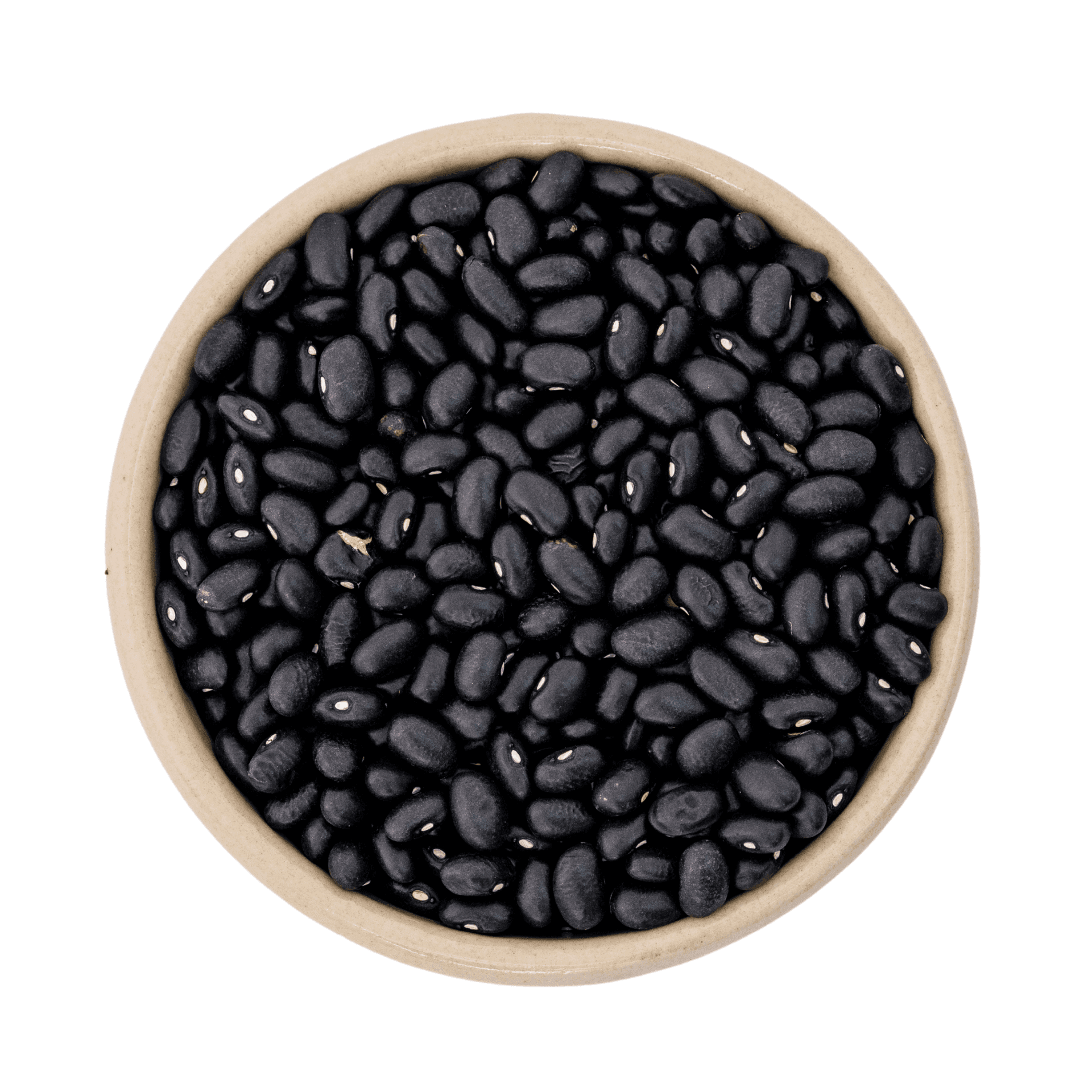 Cerné fazole bio (black turtle) 11.34kg