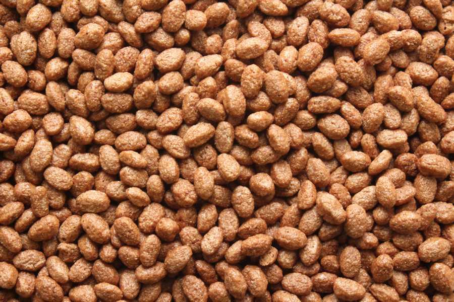 Cokoládové krousky Bio 10kg