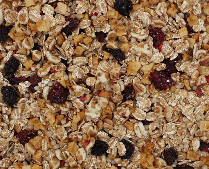 Müsli penice dvouzrnné s ovocem bio 12,5kg