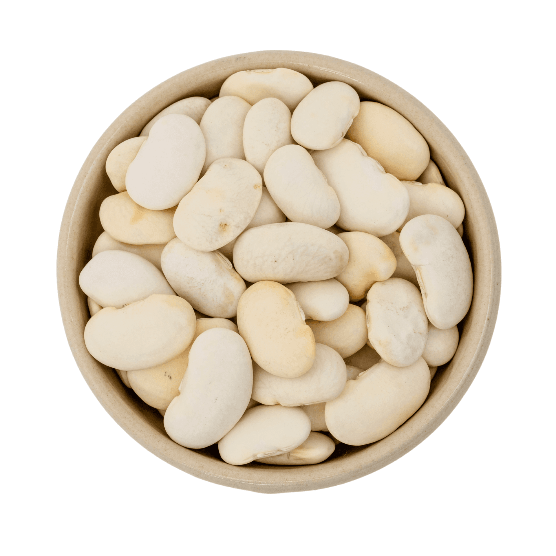 Obrí bílé fazole bio 25kg