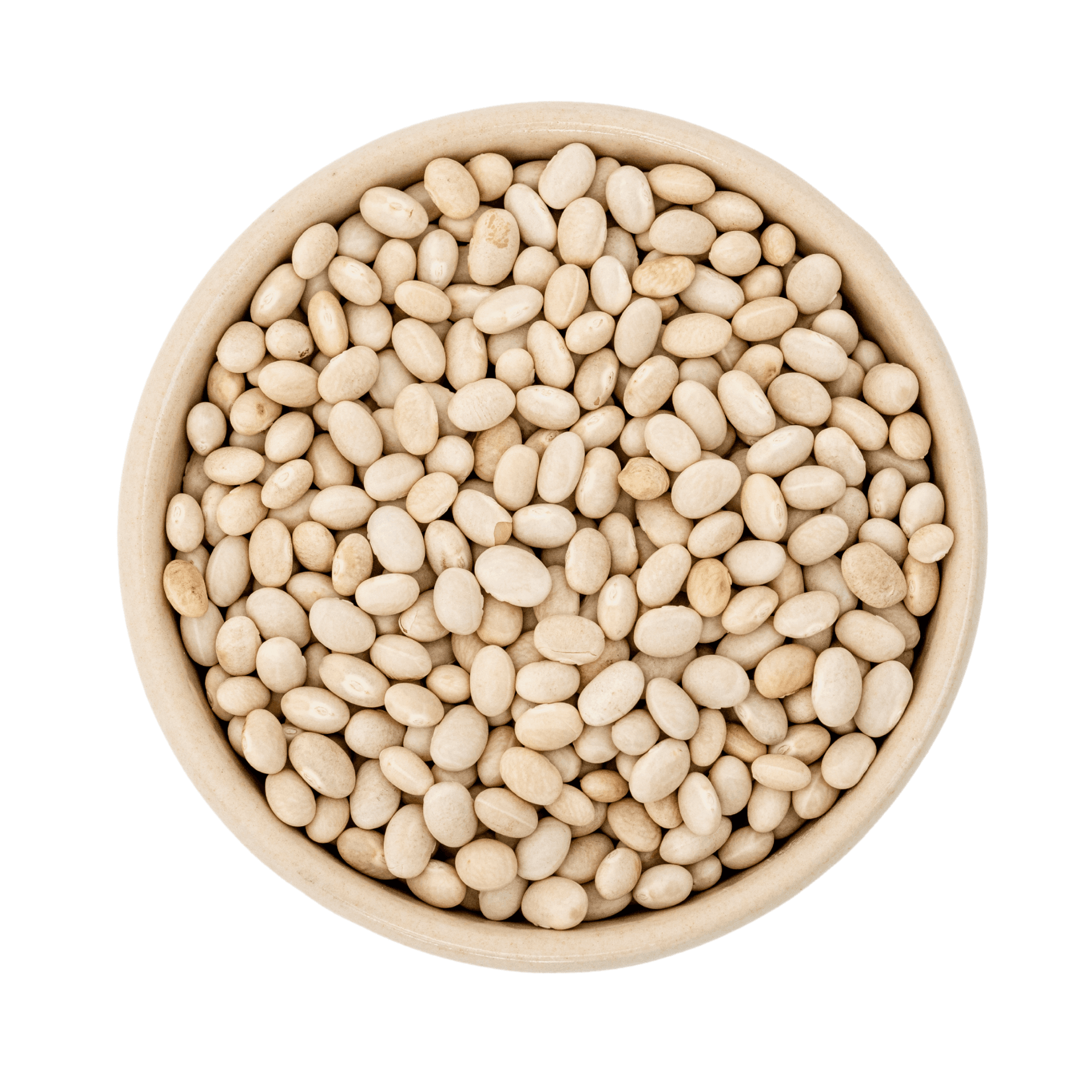 Bílé fazole BIO 5kg