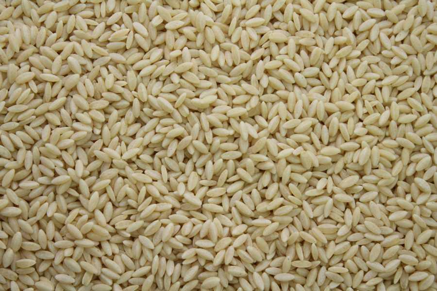 Testoviny Risoni v tvaru rýe bio 10kg
