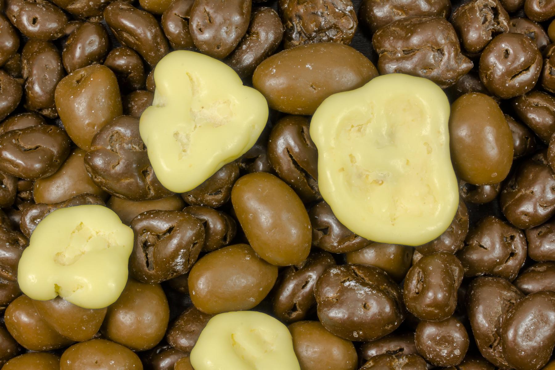 Smes orechu a ovocení pokrytá cokoládou bio 5kg