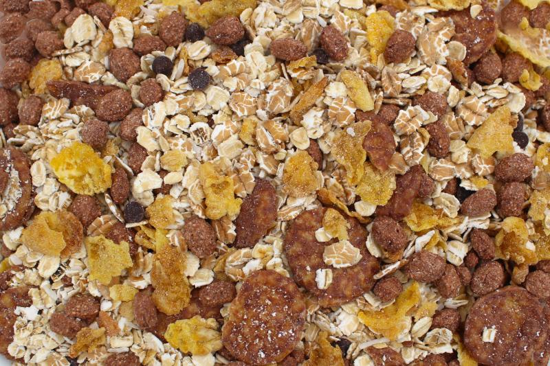 Organic Chocolate Muesli 20kg