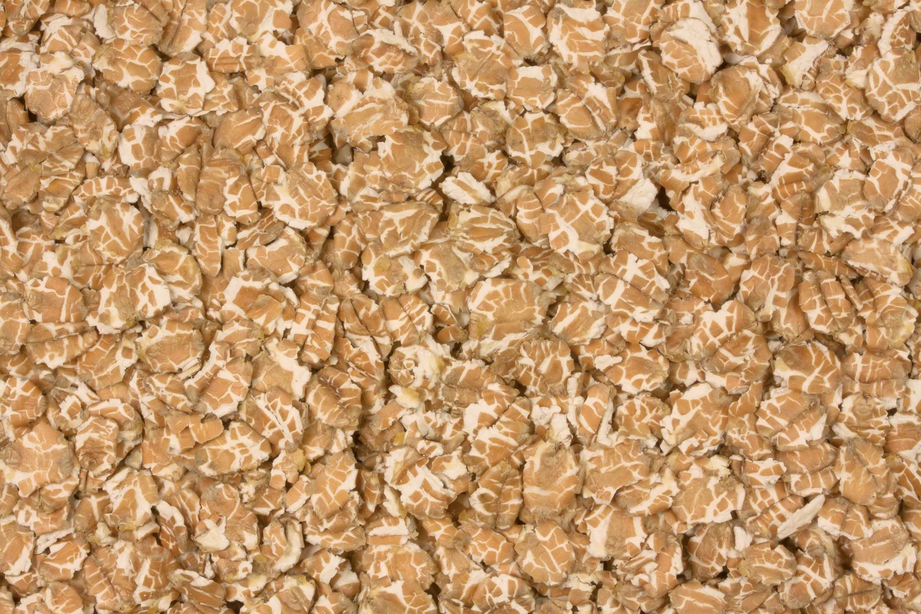Vlocky penicné bio 25kg