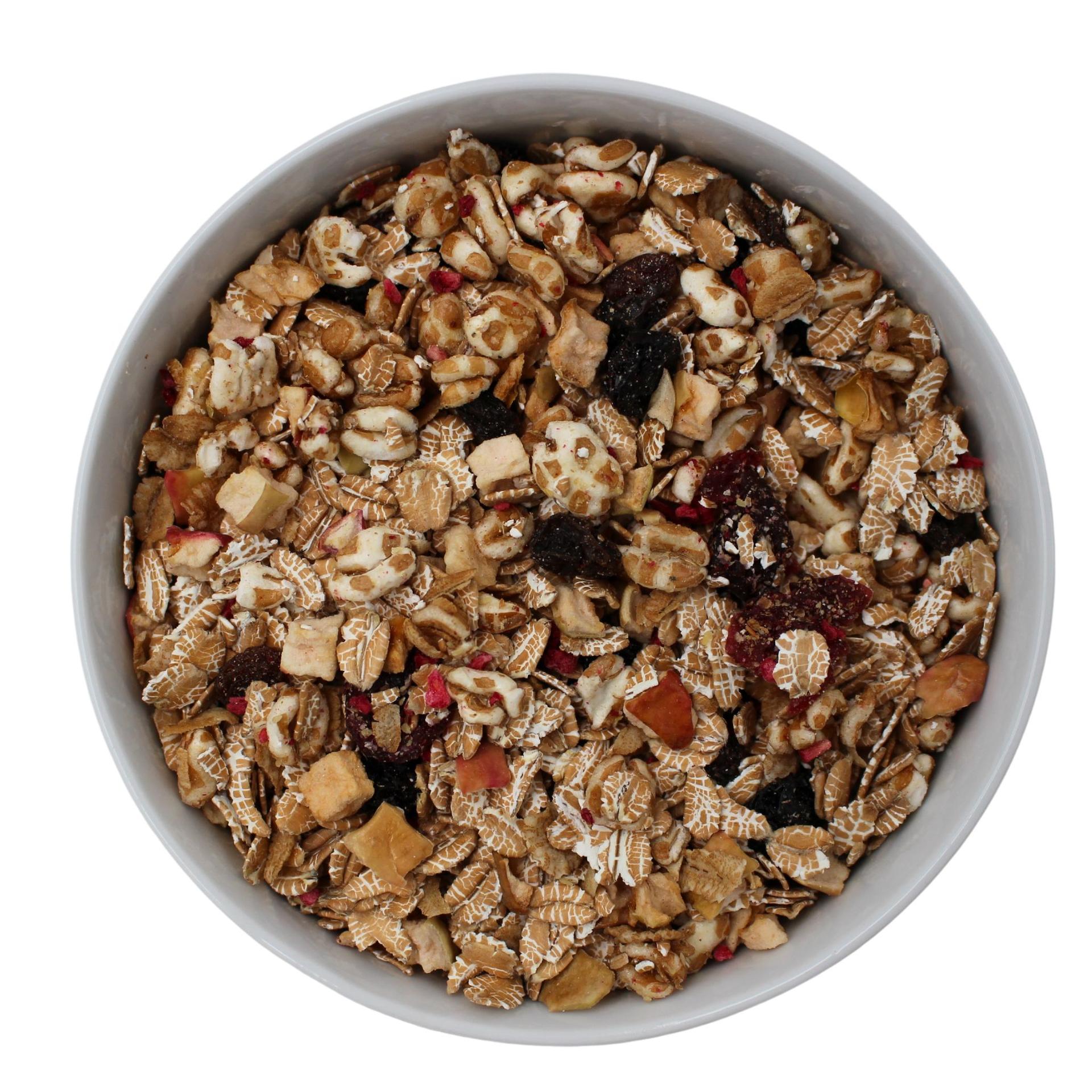 Müsli penice dvouzrnné s ovocem Bio 20kg