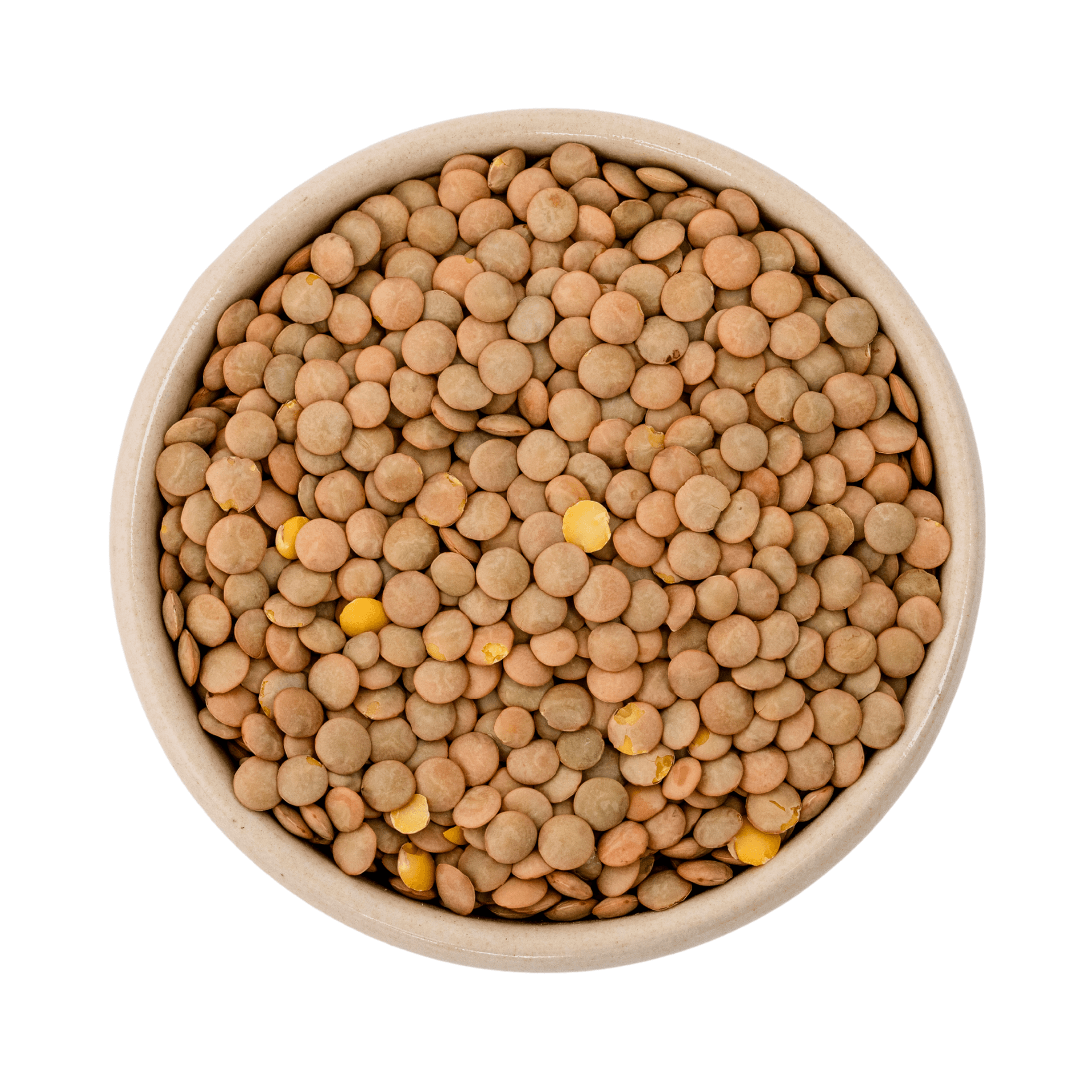 Bio hnědé čočky Talíř (Laird) 6x500g