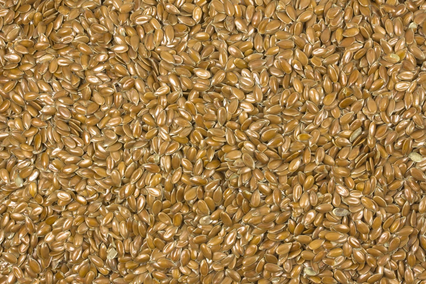 Hnedé lnené semínko bio kvality pro zpracovatele 25kg
