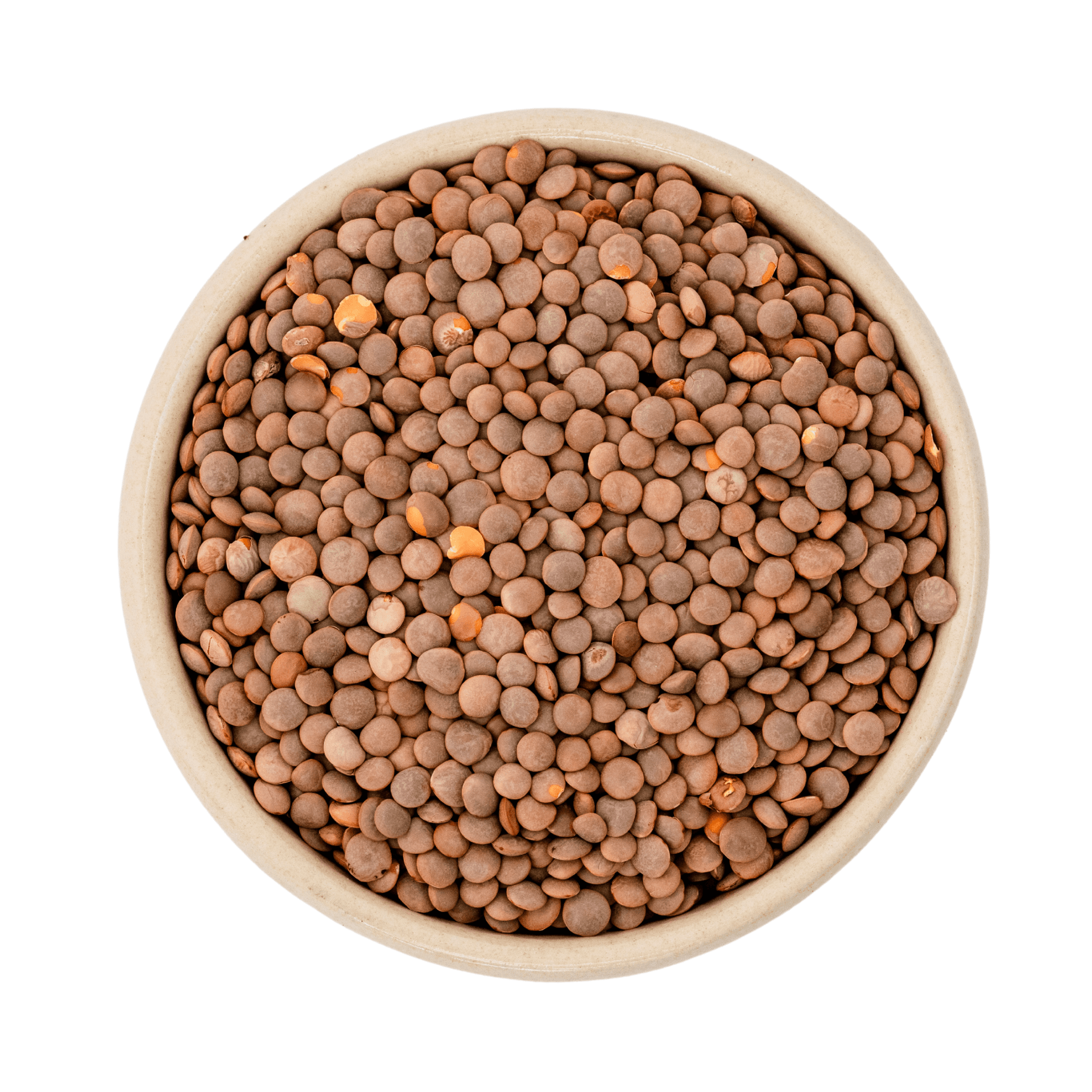 Horcice horská hnedá bio (Gourmet) 25kg